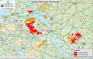 Map of squirrel distribution in Fermanagh